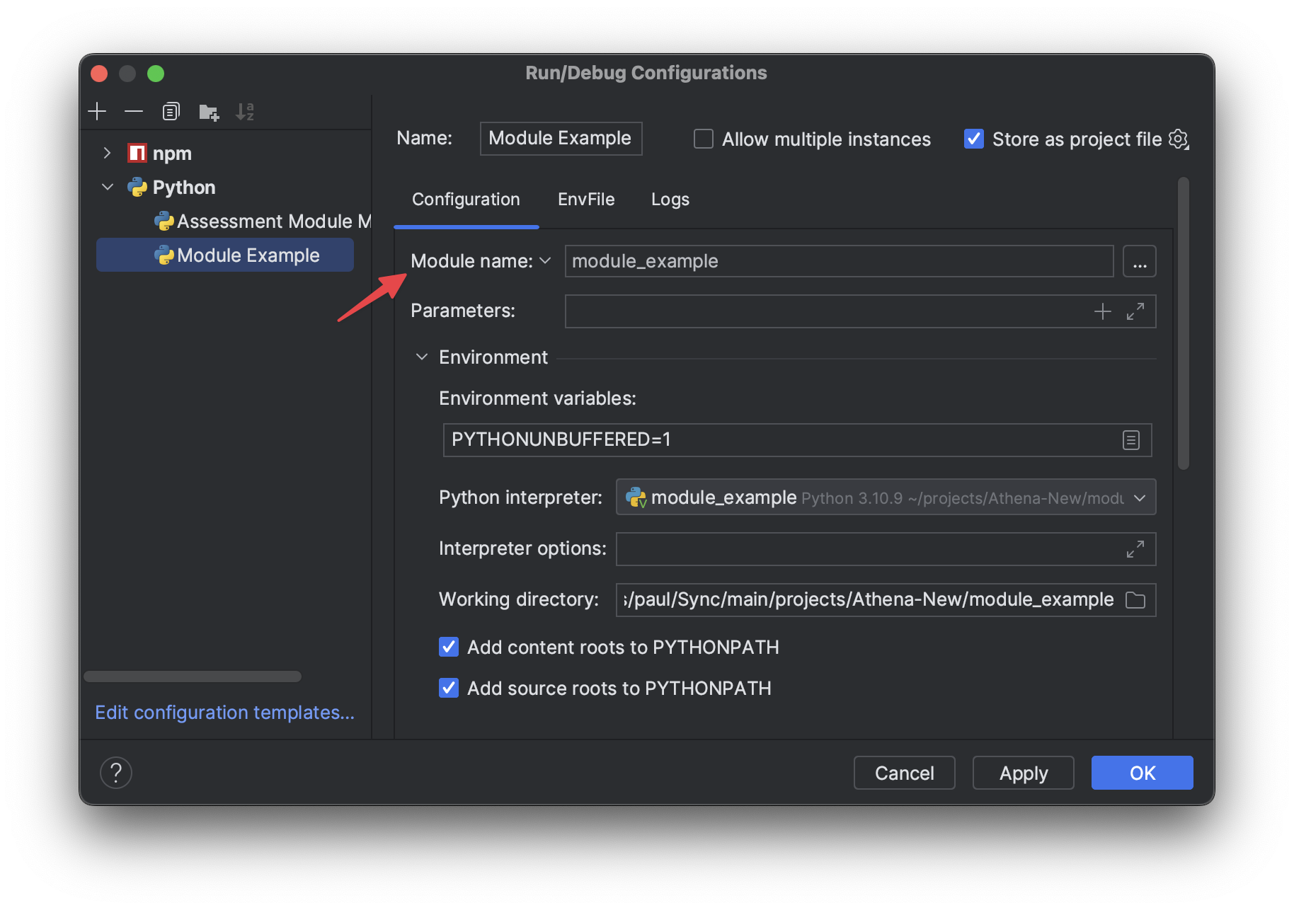 PyCharm Run Configuration