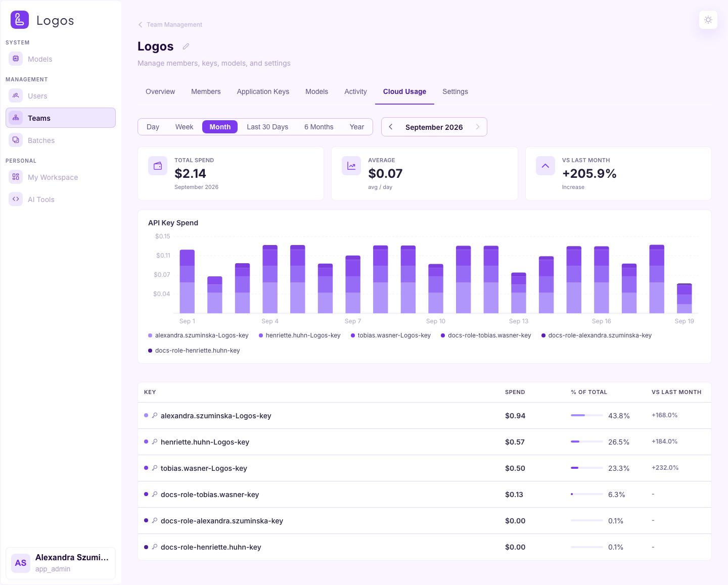 Team detail — Cloud Usage