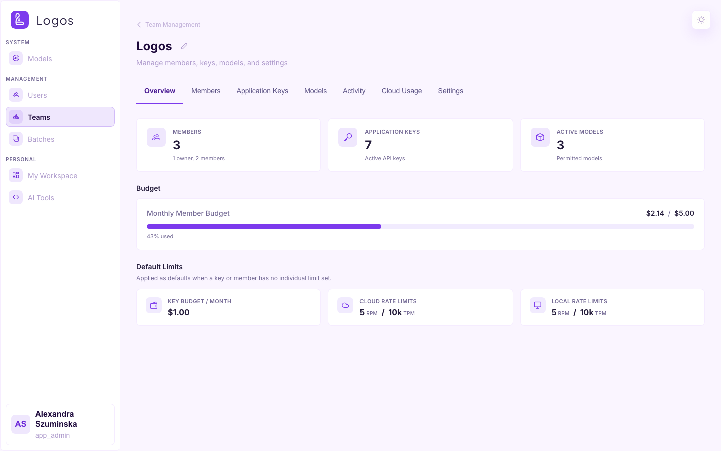 Team detail — Overview